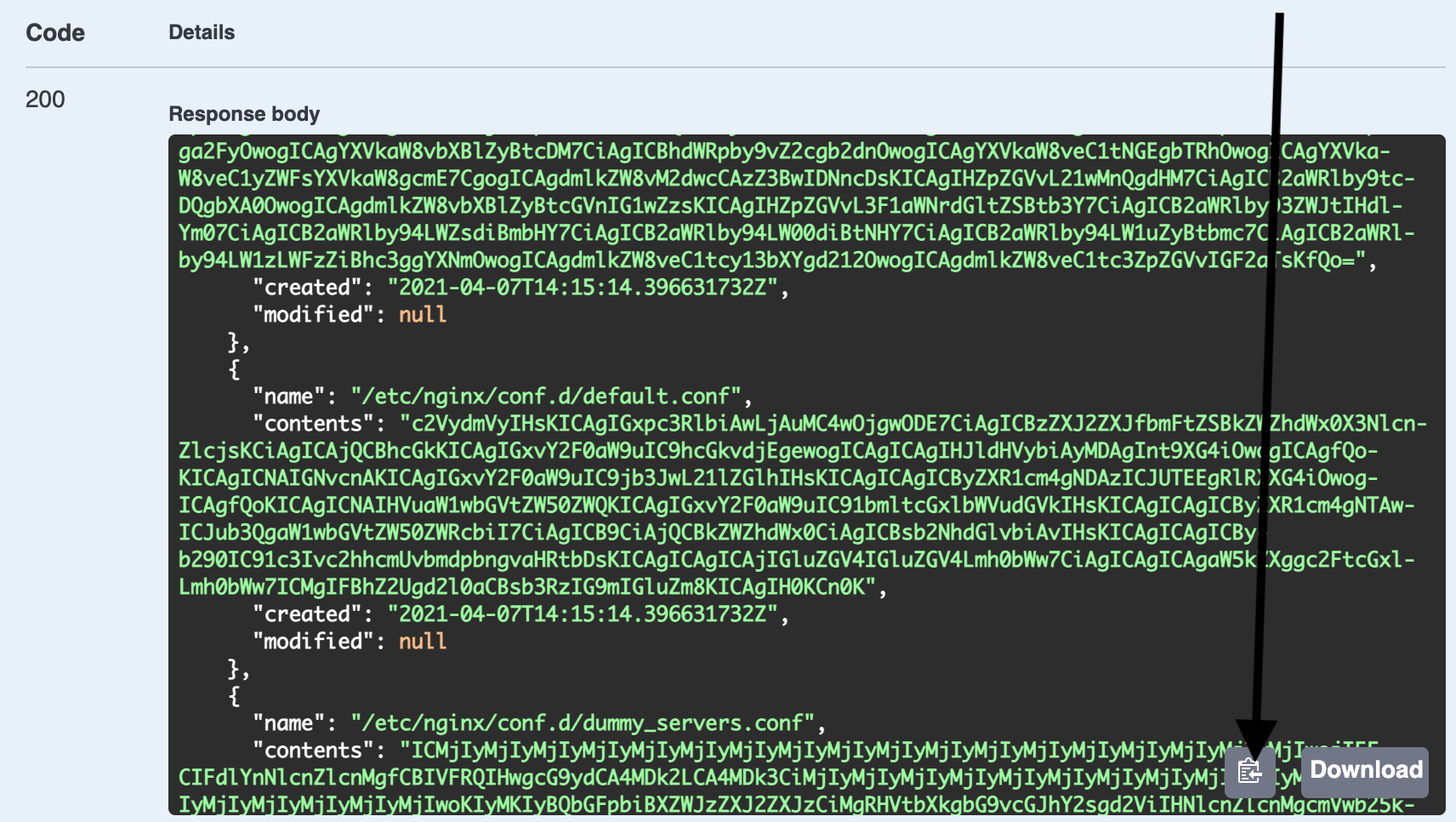 ../../_images/API-base64-copyall.png
