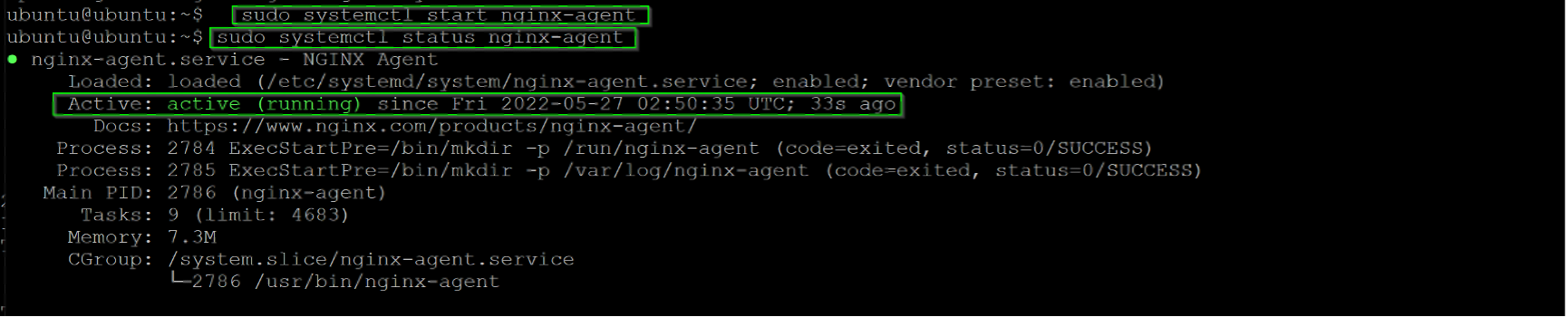 ../../_images/enable_agent.png