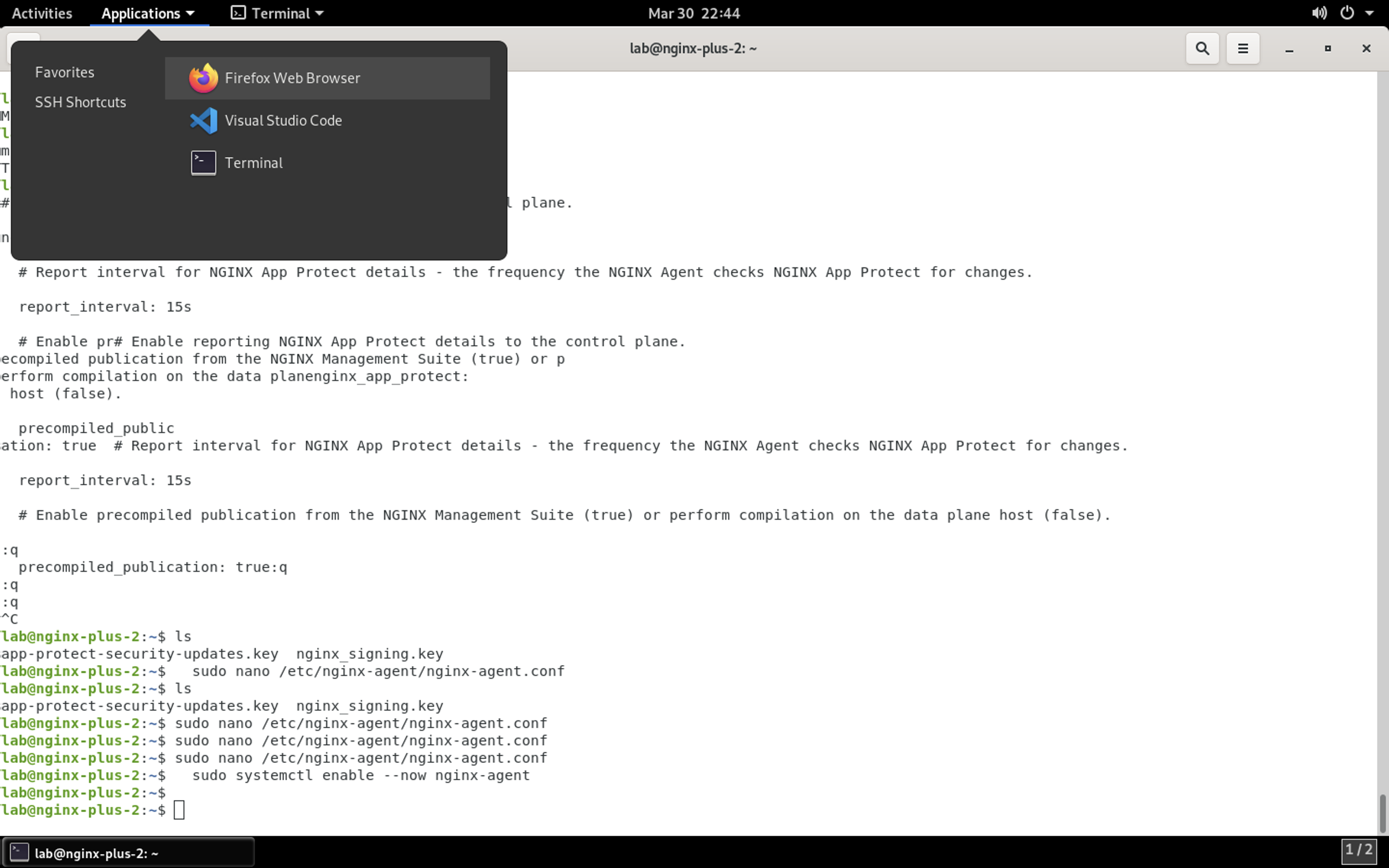 ../../../_images/firefox_launch.png