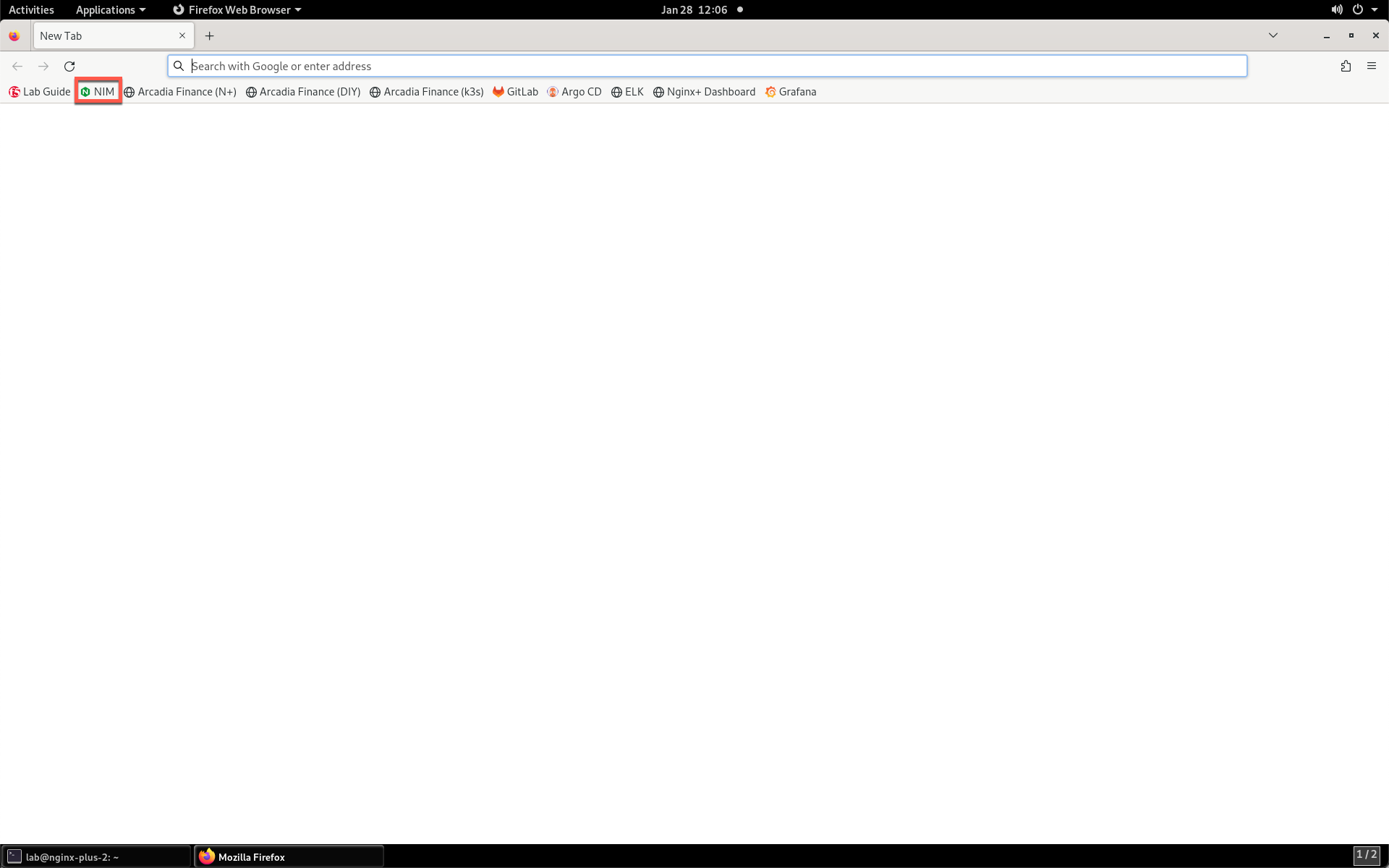../../../_images/launch_nim.png