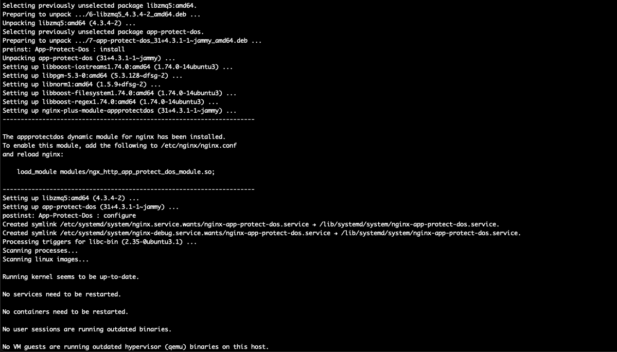 ../../_images/nginx-app-protect-dos-install.png