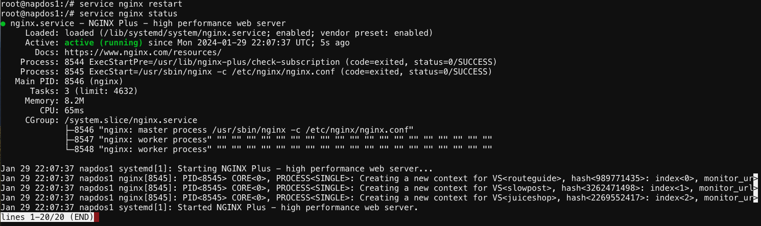 ../../_images/nginx-app-protect-dos-restart.png