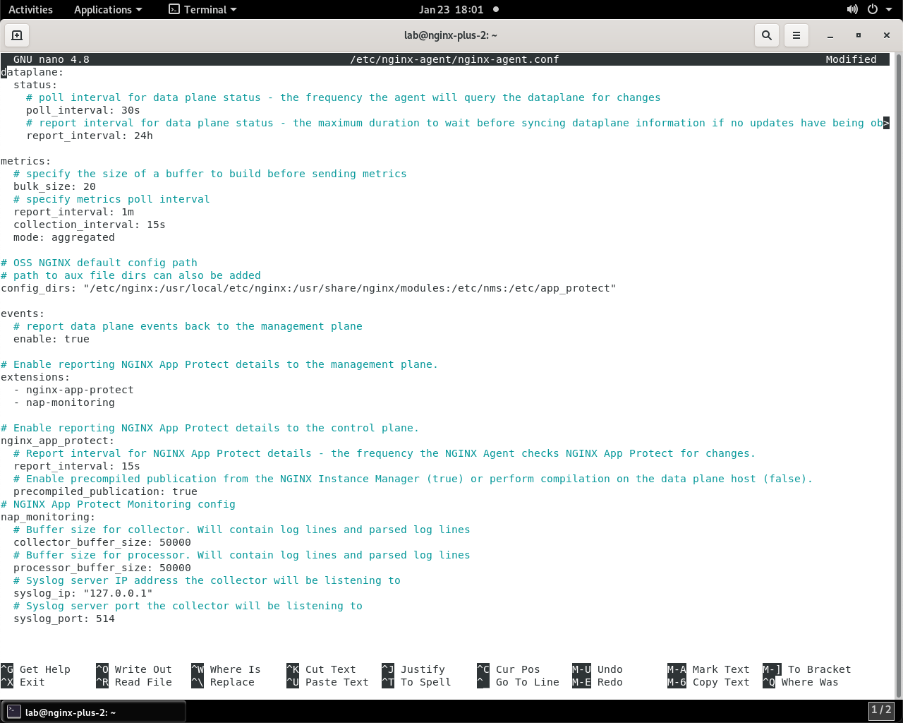 ../../../_images/nginx_agent_conf_edits.png
