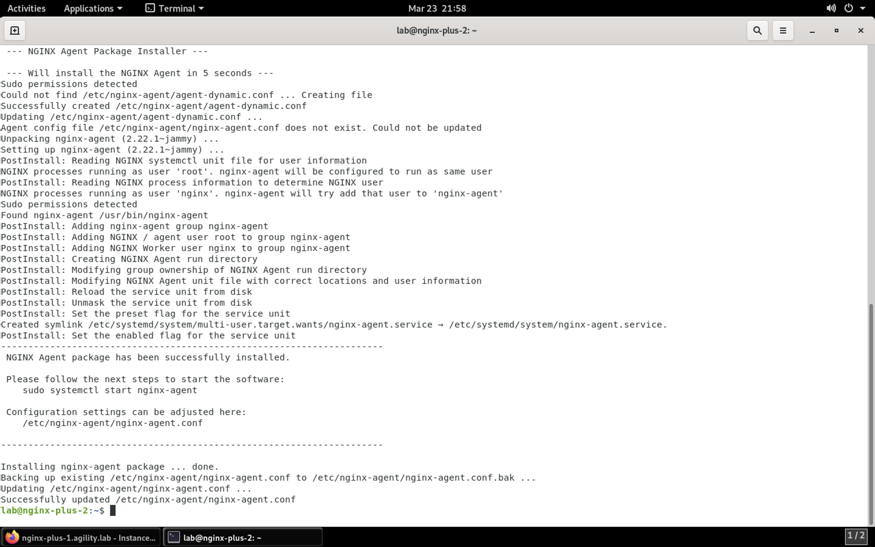 ../../../_images/nginx_agent_install_result.png