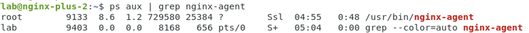 ../../../_images/nginx_agent_ps_aux_result.png
