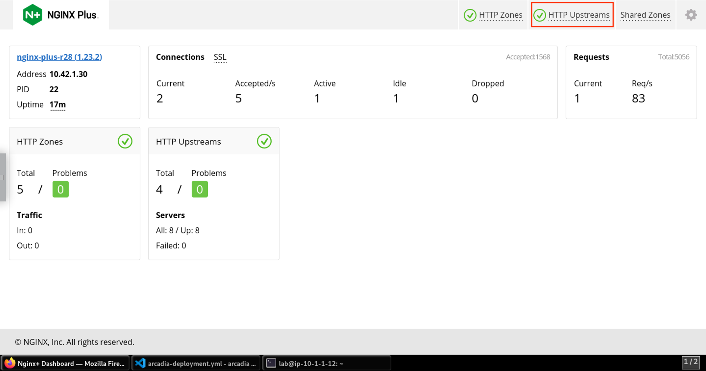 ../../../_images/nginx_dashboard_landing.png