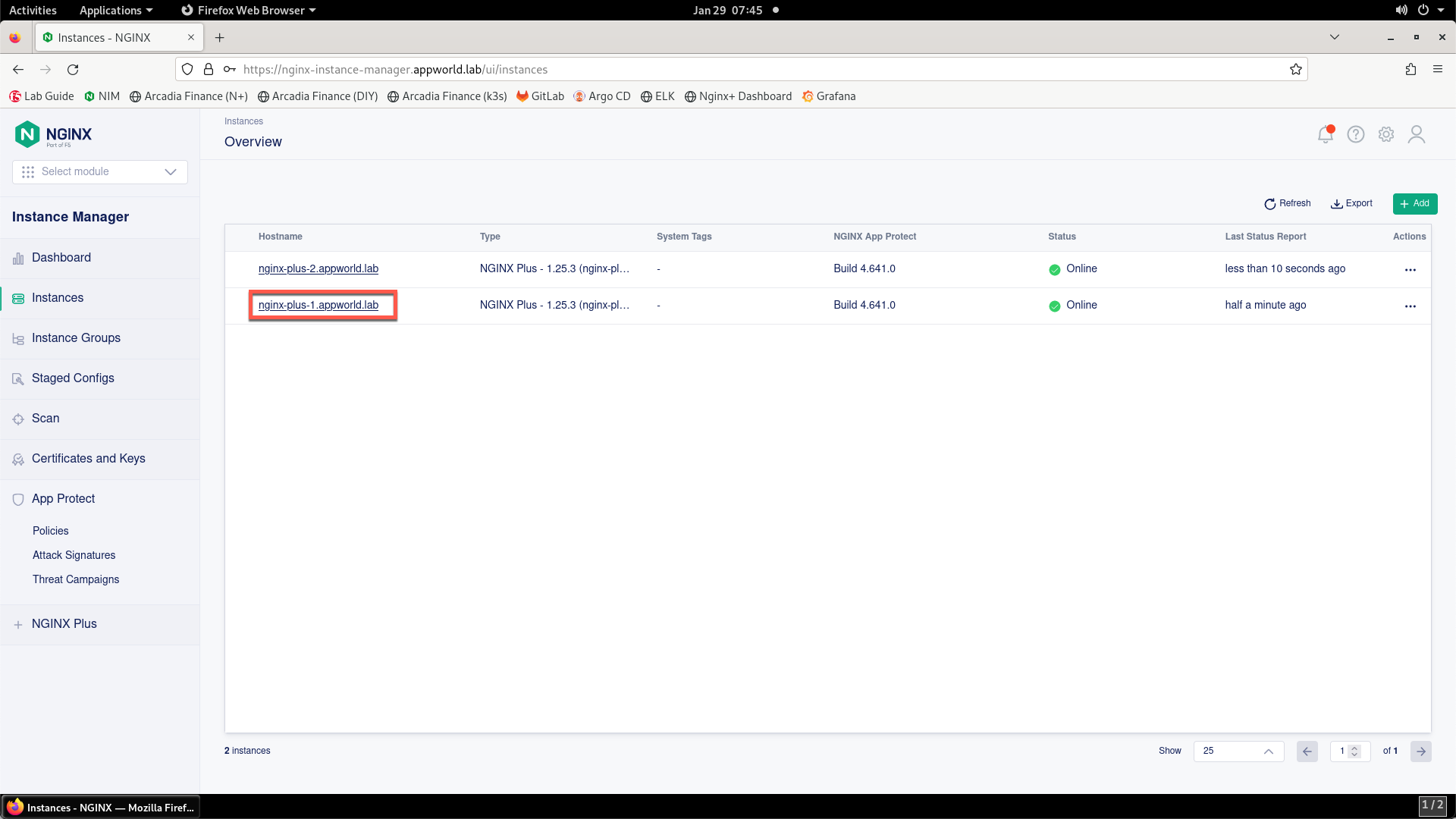 ../../../_images/nginx_instance_selection.png