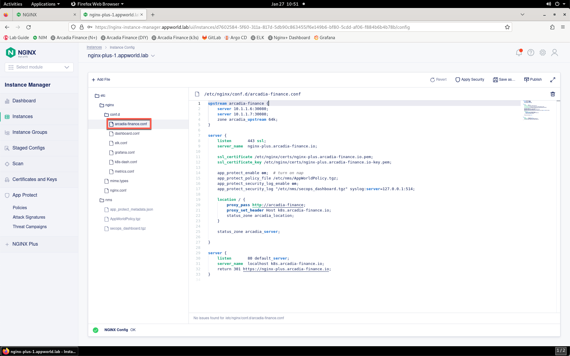 ../../../_images/nim_arcadia_config.png