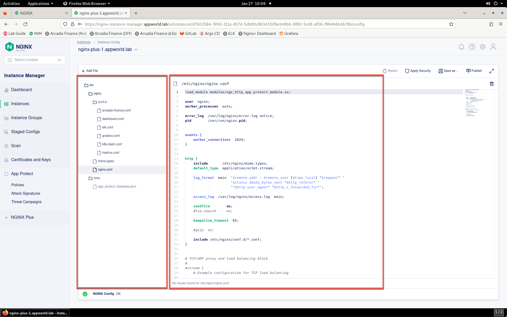 ../../../_images/nim_instance_config.png