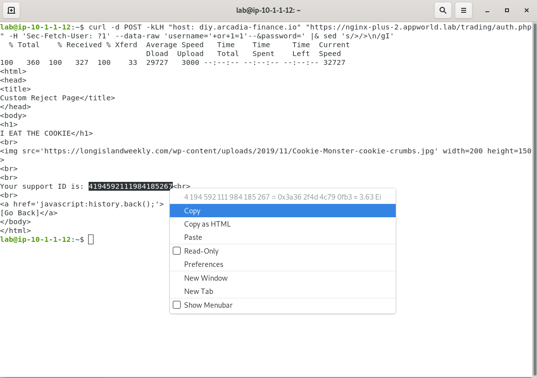 ../../../_images/terminal_curl_output_block2.png